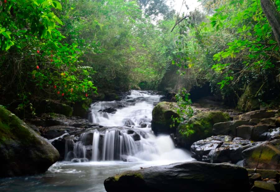 From Foz do Iguaçu: Secret Falls Adventure - Key details at a glance