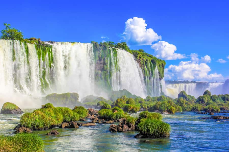 From Foz do Iguazu: Brazil Iguazu Falls & Macuco Safari Boat - Key points to know before you book