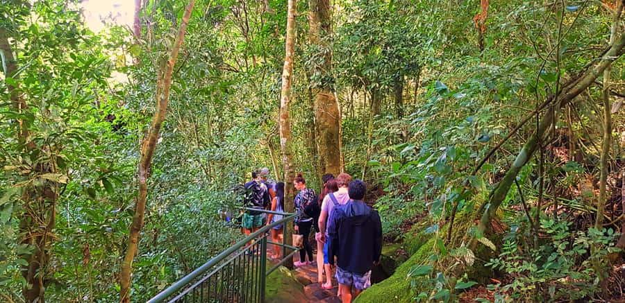 From Foz do Iguazu: Brazil Iguazu Falls & Macuco Safari Boat - Who will enjoy this tour most