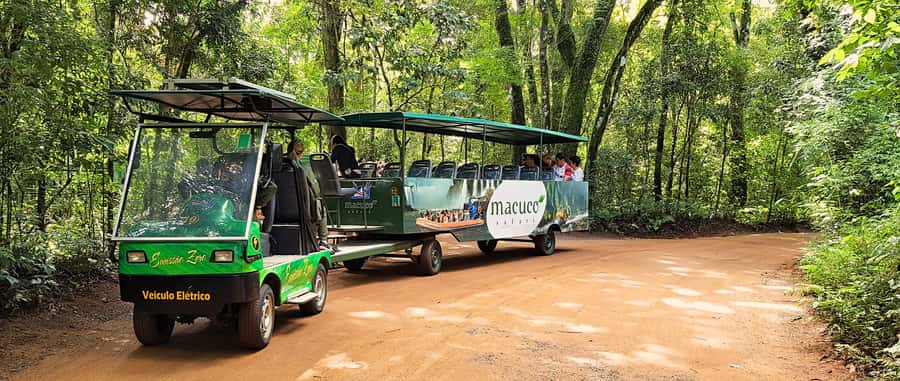 From Foz do Iguazu: Brazil Iguazu Falls & Macuco Safari Boat - Hotel transfers save time, but the schedule is not fixed