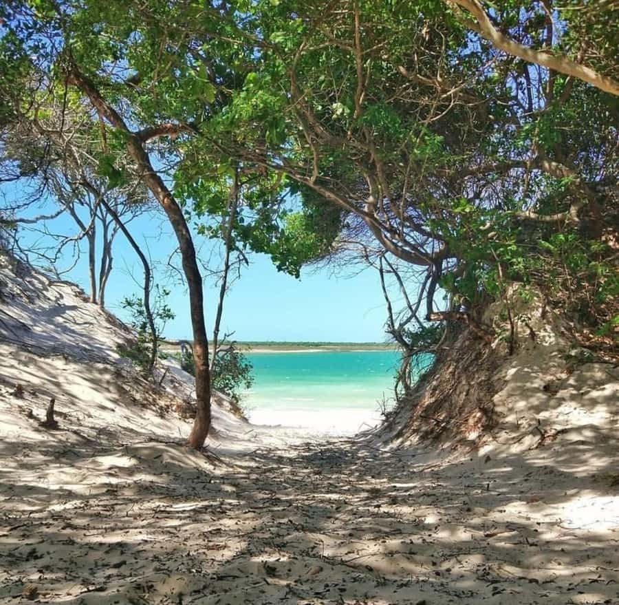 From Jericoacoara: Preá Beach and Paradise Lagoon Tour - What the $14 price really covers