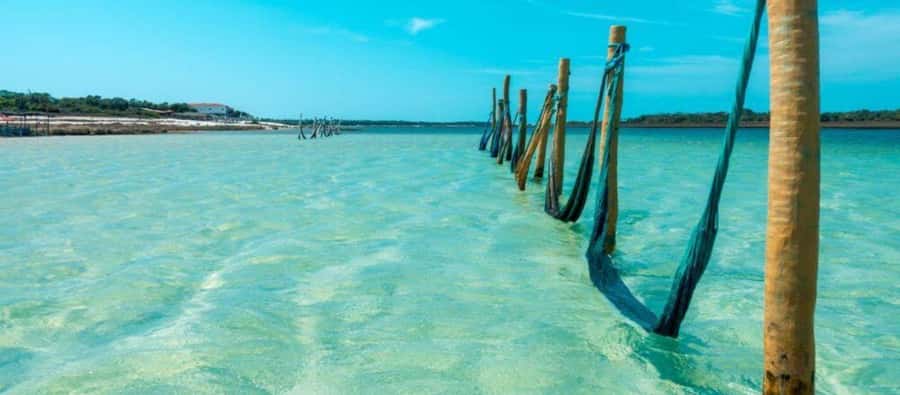 From Jericoacoara: Preá Beach and Paradise Lagoon Tour - Communication, timing, and comfort