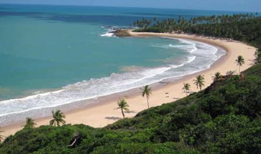 From João Pessoa: Full-Day Southern Coast Beaches Tour - What the guide and transport add