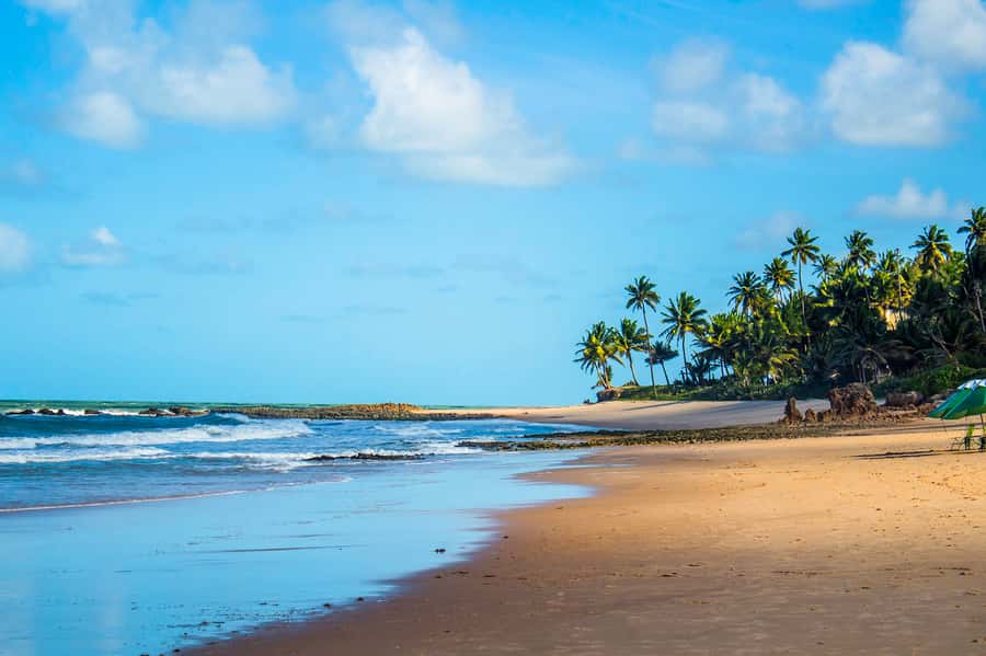 From João Pessoa: Full-Day Southern Coast Beaches Tour - Praia Bela brings river and sea together