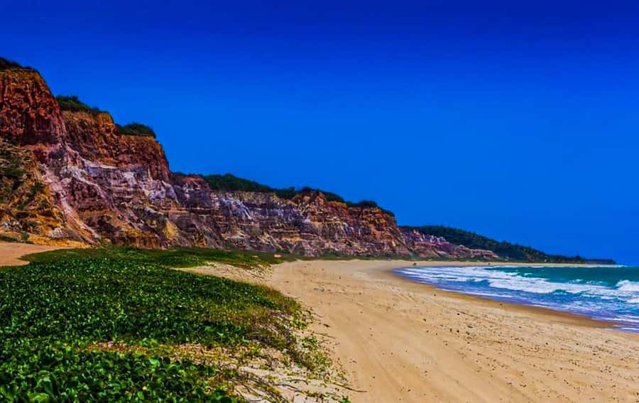 From Maceio: Gunga Beach & Full-Day Tour - Food, drinks, and local crafts