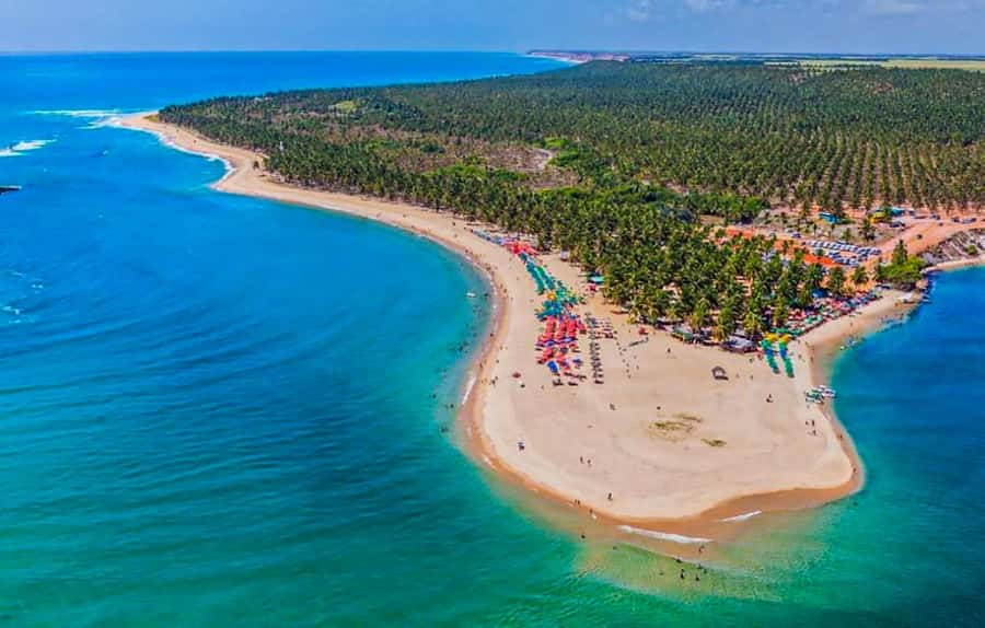 From Maceio: Gunga Beach & Full-Day Tour - Who will enjoy this outing most