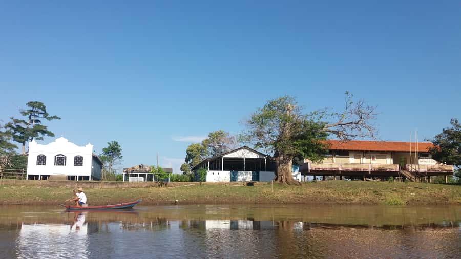 From Manaus: 3 or 4-Day Rio Negro & Anavilhanas River Cruise - Day two: Anavilhanas, piranha fishing, and alligators after dark