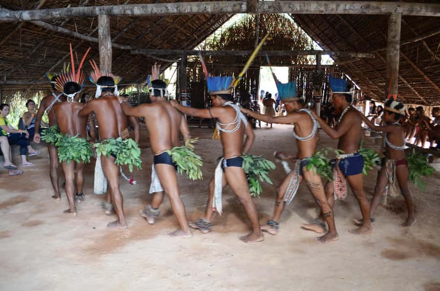 From Manaus: 3 or 4-Day Rio Negro & Anavilhanas River Cruise - The four-day route: canoe wildlife and practical jungle skills