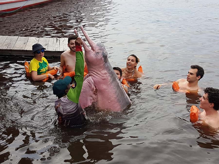 From Manaus: 3 or 4-Day Rio Negro & Anavilhanas River Cruise - Is $600 a fair price for three or four days?
