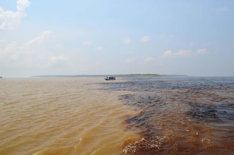 From Manaus: 3 or 4-Day Rio Negro & Anavilhanas River Cruise - Who will enjoy this Amazon cruise most?