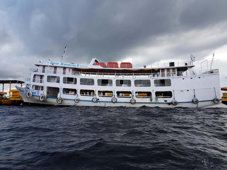 From Manaus: 3 or 4-Day Rio Negro & Anavilhanas River Cruise - Day one: Janauri’s giant trees and a swim with dolphins
