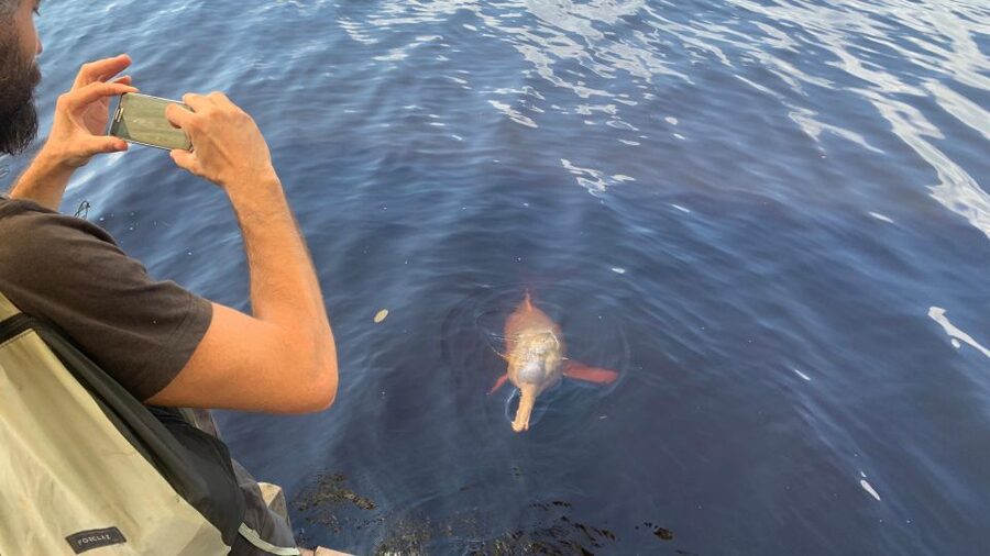 From Manaus: Negro River Half-Day Trip - Guide quality and group size