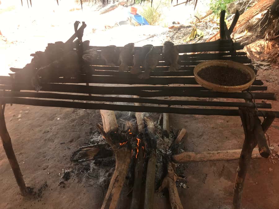 From Manaus: Negro River Half-Day Trip - What to pack for the river