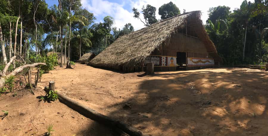 From Manaus: Negro River Half-Day Trip - Who will enjoy this half-day trip?