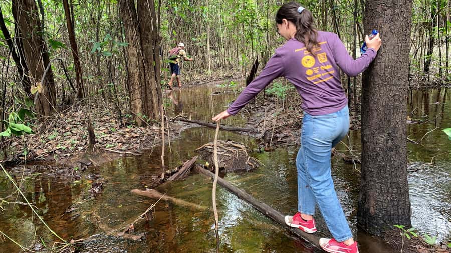 From Manaus: One-Day Amazon Jungle Experience - The Drive West to Castanho Lake