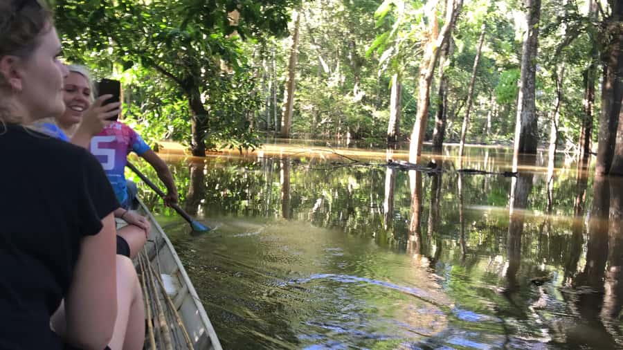 From Manaus: One-Day Amazon Jungle Experience - Lunch With Local Amazonian Flavors