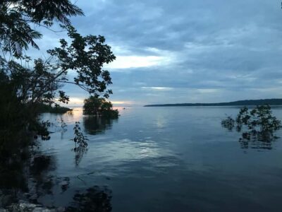 From Manaus: One-Day Amazon Jungle Experience