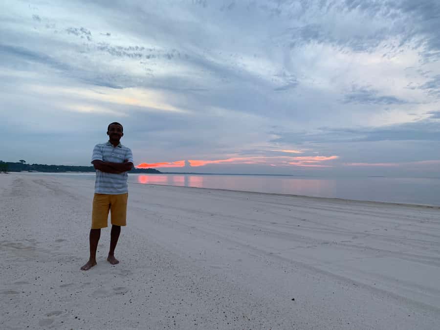 From Manaus: One-Day Amazon Jungle Experience - Swimming With Pink River Dolphins