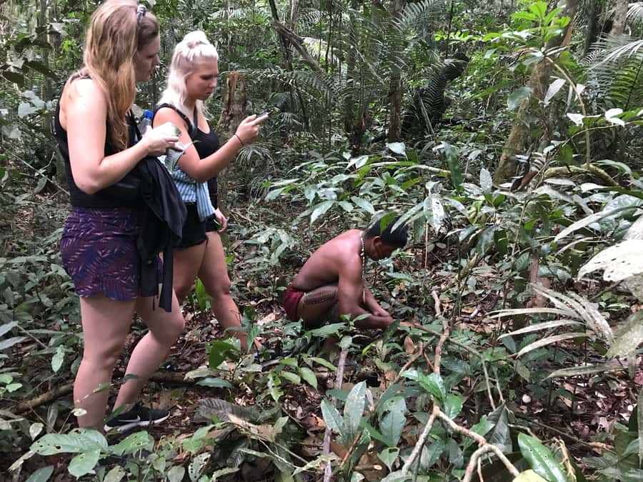 From Manaus: One-Day Amazon Jungle Experience - Searching for Caimans After Dark