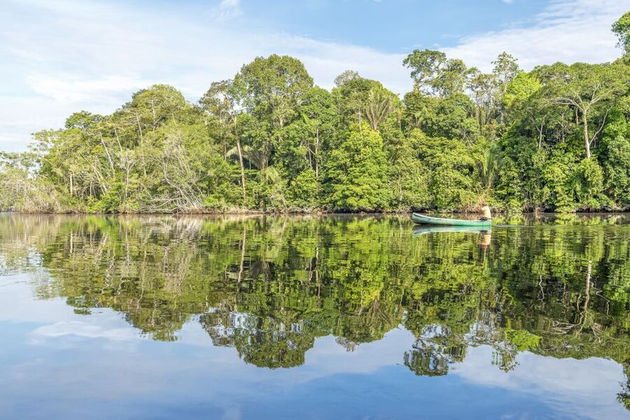 From Manaus: One-Day Amazon Jungle Experience - What the $100 Includes