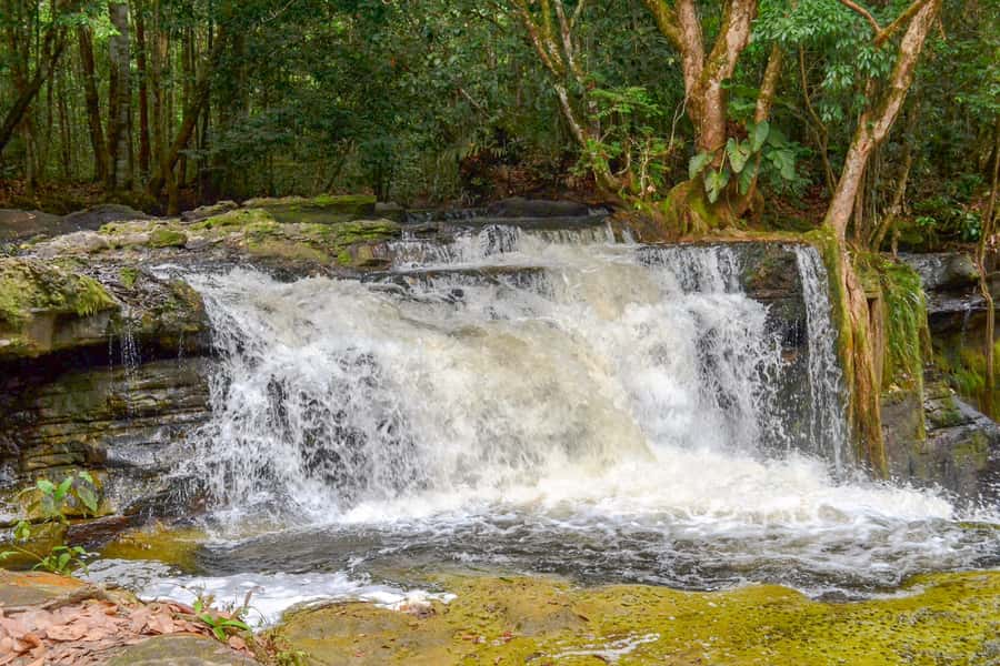 From Manaus: Presidente Figueiredo Waterfalls Daytrip - Local lunch with fish from the region