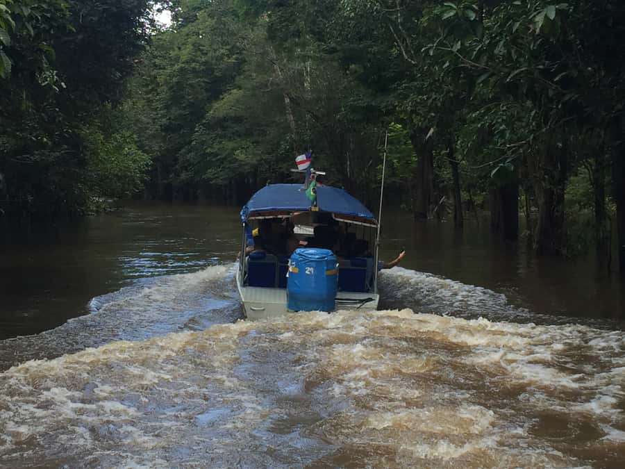 From Manuas: Full-Day River Tour - Water lilies, flooded forest, and changing river levels