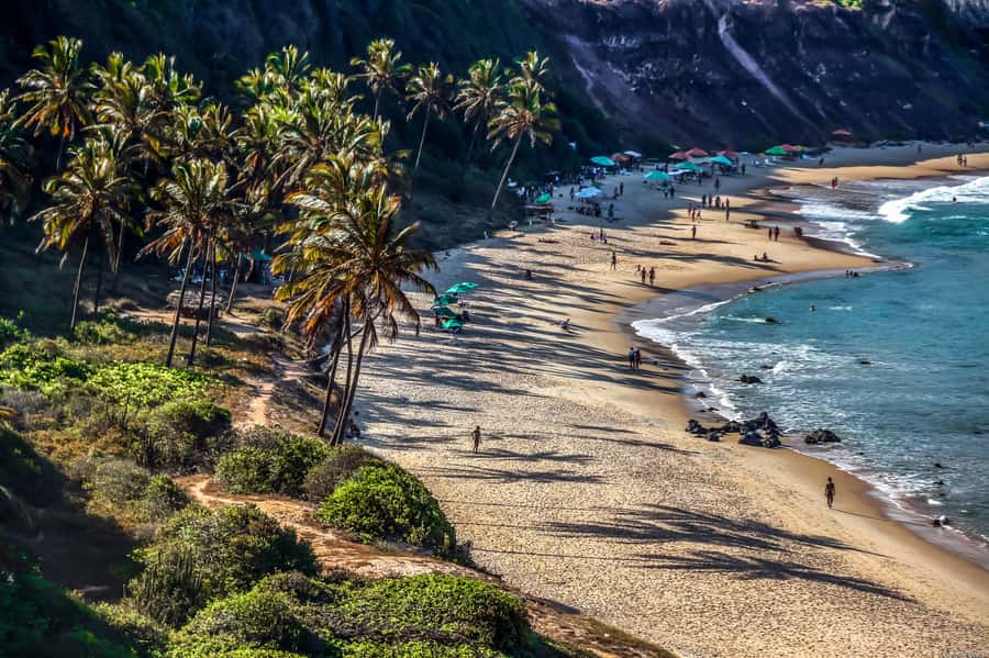 From Natal: Pipa, Cacimbinhas, And Love Beach Full-Day Tour - Key points to know before booking