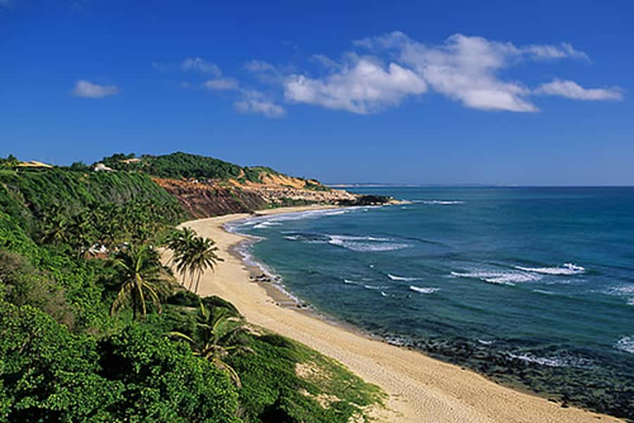 From Natal: Pipa, Cacimbinhas, And Love Beach Full-Day Tour - Dolphins Bay depends on the tide