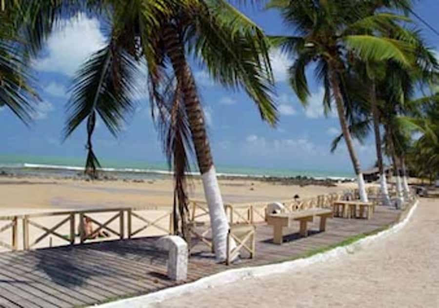 From Natal: Pipa, Cacimbinhas, And Love Beach Full-Day Tour - What the $153 price really covers
