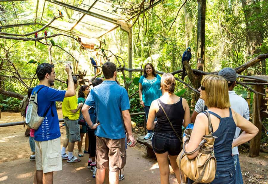 From Puerto Iguazú: Brazilian Bird Park Tour with Tickets - Is the four-hour schedule good value?
