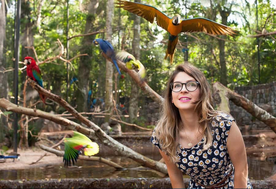 From Puerto Iguazú: Brazilian Bird Park Tour with Tickets - Who will enjoy this park most?