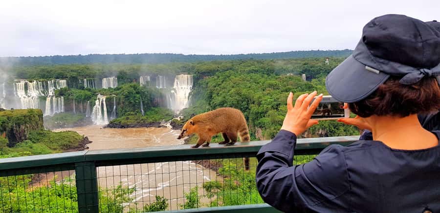From Puerto Iguazu: Brazilian Falls with Boat Adventure - Key points to know before you book