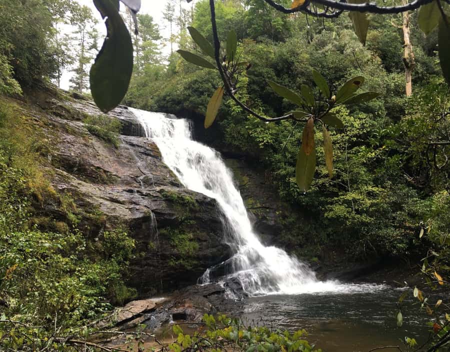 From Puerto Iguazu: Secret Falls Adventure - Walking through the subtropical forest
