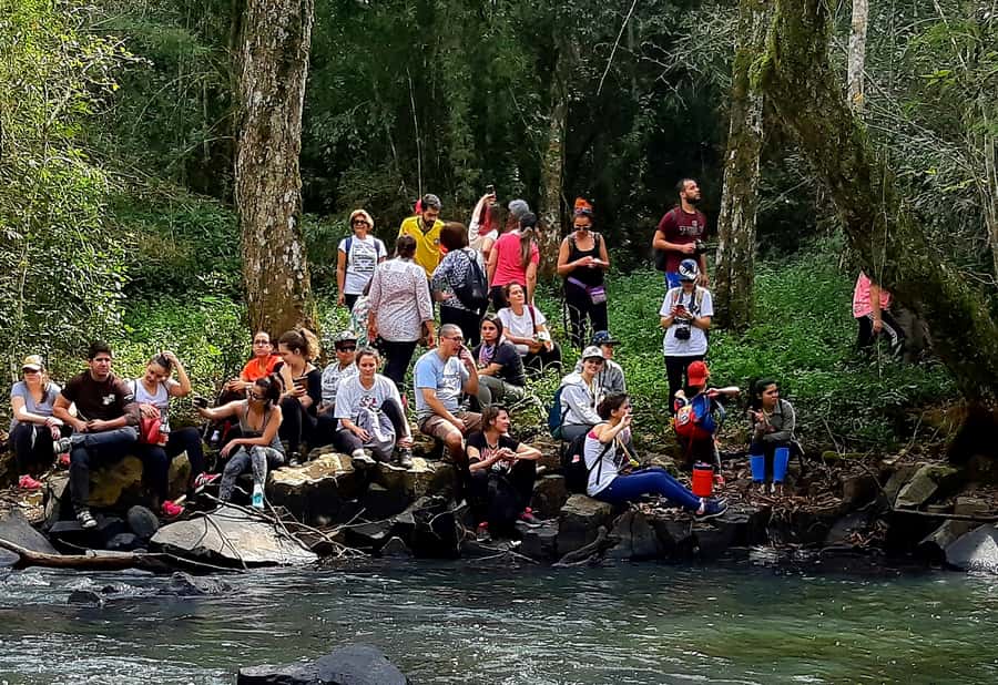 From Puerto Iguazu: Secret Falls Adventure - Group size, guiding, and pace