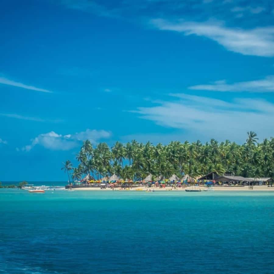 From Recife : Carneiros Beach - The early pickup from Boa Viagem and Piedade