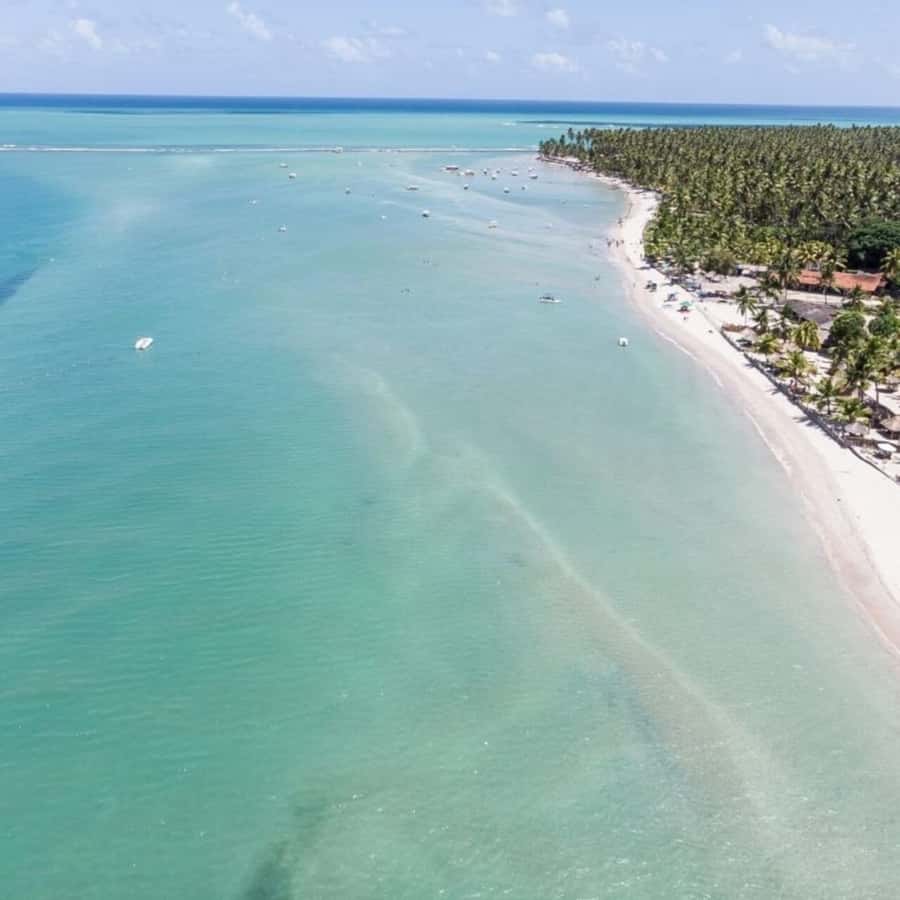 From Recife : Carneiros Beach - Swimming in warm water and natural pools