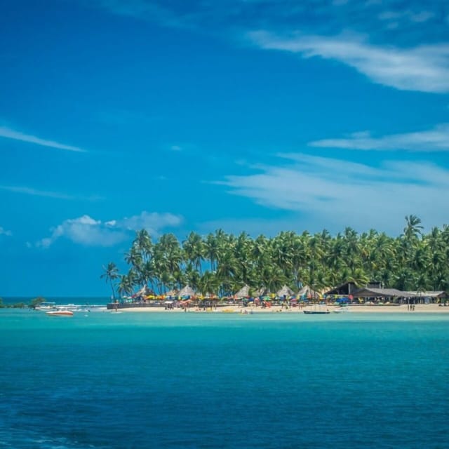 From Recife : Carneiros Beach - Practical comfort and mobility concerns