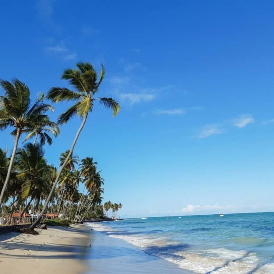 From Recife : Carneiros Beach - Arriving at the seafront support point