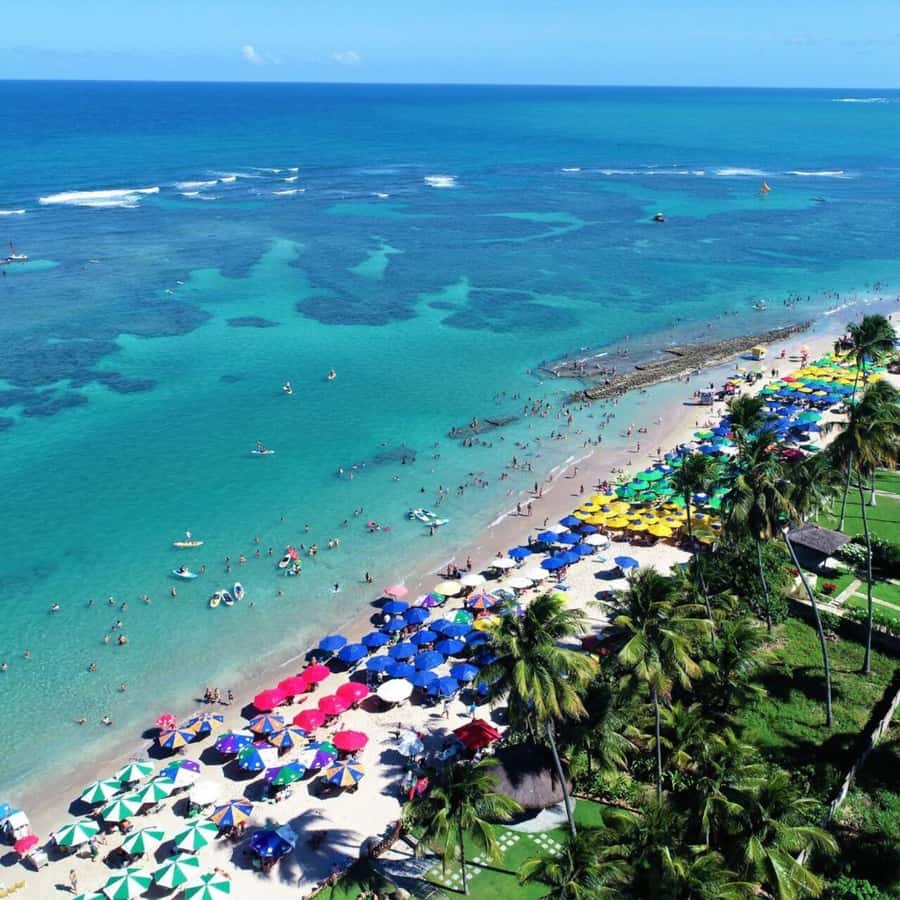 From Recife : Tour for Porto de Galinhas - Key points to know before booking