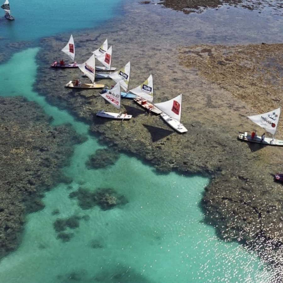 From Recife : Tour for Porto de Galinhas - Why Porto de Galinhas makes a strong day trip from Recife