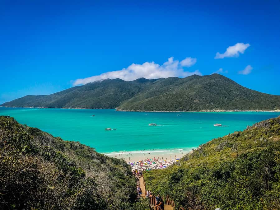 From Rio: Arraial do Cabo Day Trip with Boat Tour - Ilha do Farol and the first swim