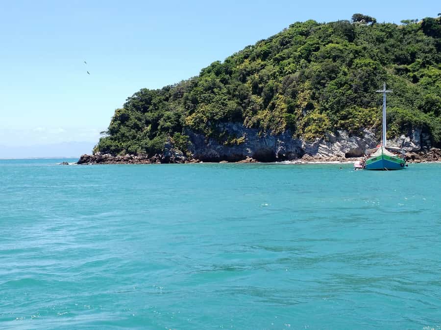 From Rio: Búzios with Boat Tour and Lunch - The early road from Rio to the coast