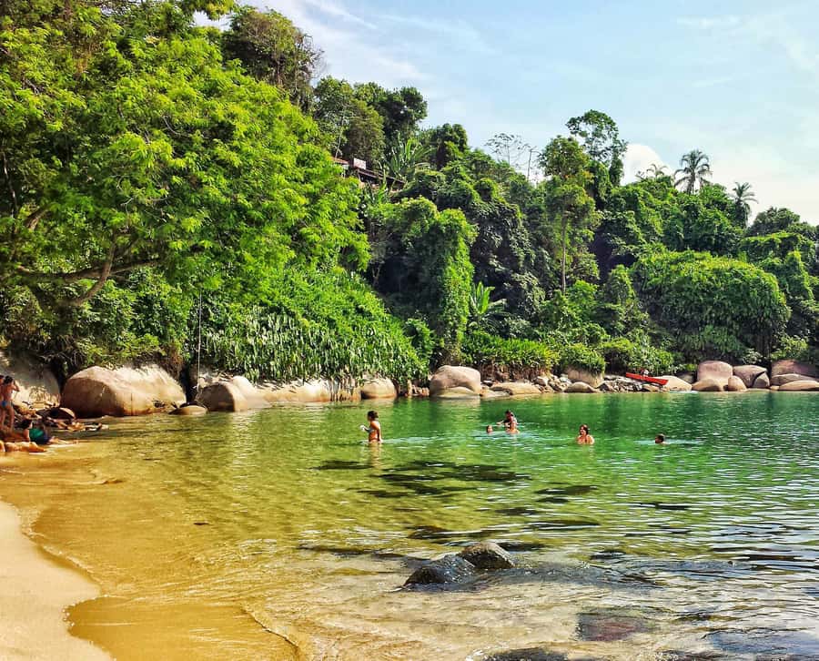 From Rio de Janeiro: Angra dos Reis Boat Trip with Lunch - Lagoa Azul and the fish-filled water
