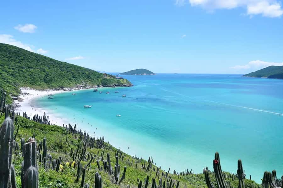 From Rio de Janeiro: Arraial do Cabo Island Day Trip - Key points before you book