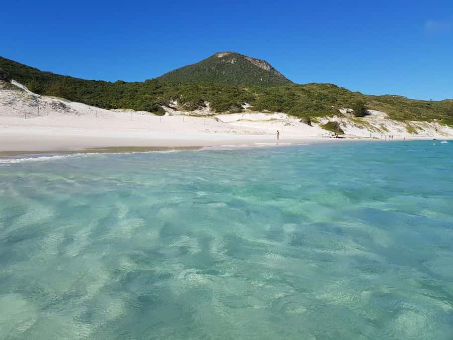 From Rio de Janeiro: Arraial do Cabo Island Day Trip - Praia do Forno: the first taste of clear water