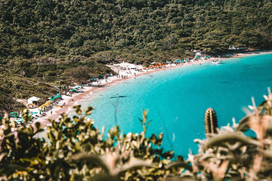 From Rio de Janeiro: Arraial do Cabo Island Day Trip - Swimming, marine life, and snorkeling