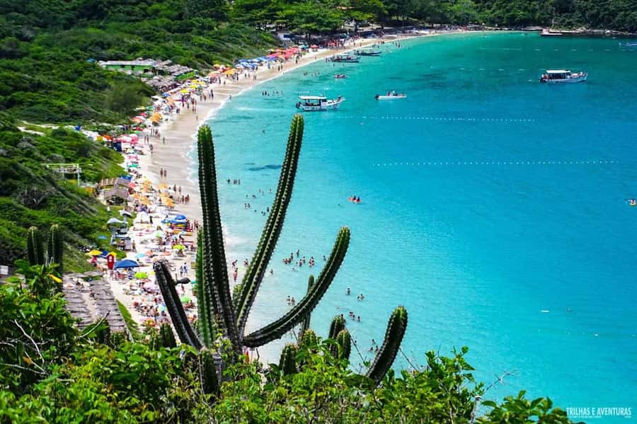 From Rio de Janeiro: Arraial do Cabo Island Day Trip - Guides and group organization