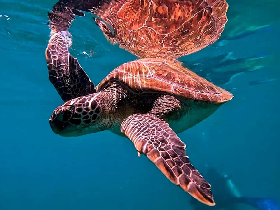 from Rio de Janeiro: Diving in Buzios - Pickup in Rio and the long road east