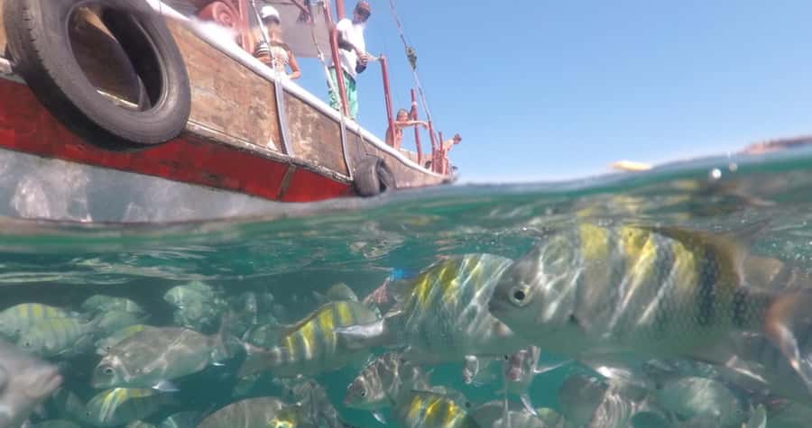 From Rio de Janeiro: Ilha Grande Day Trip - Lagoa Azul and the clearest water of the day