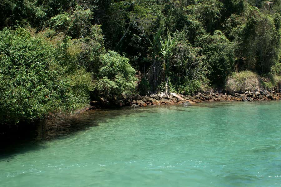 From Rio: Full-Day Angra dos Reis Cruise & Island Tour - Practical details that improve the day